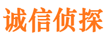 宁陵侦探调查公司